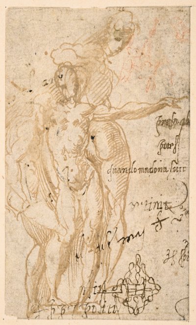  द्वारा Parmigianino