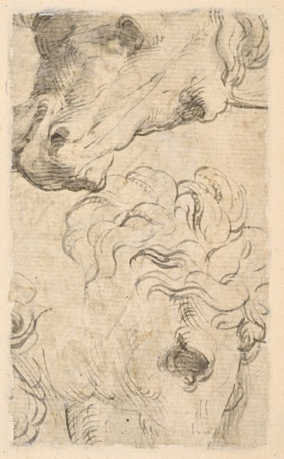  द्वारा Parmigianino