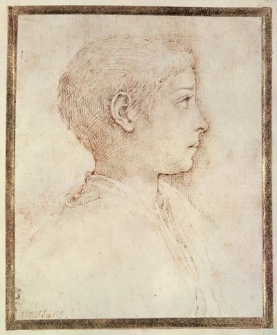 एक लड़के का सिर द्वारा Parmigianino