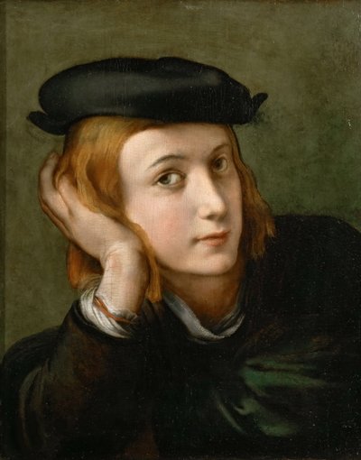 पोर्ट ऑफ़ ए बॉय, सीए 1524। द्वारा Parmigianino