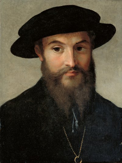 एक दाढ़ी वाले आदमी का चित्रण द्वारा Parmigianino