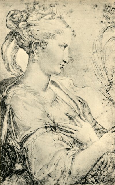 सेंट कैथरीन का अध्ययन, c1530-1540, 1943। द्वारा Parmigianino