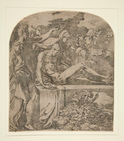  द्वारा Parmigianino