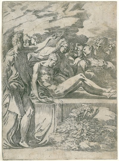  द्वारा Parmigianino