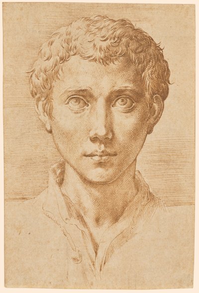  द्वारा Parmigianino