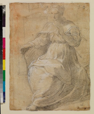 व्याकुल स्त्री को धारण करना द्वारा Parmigianino