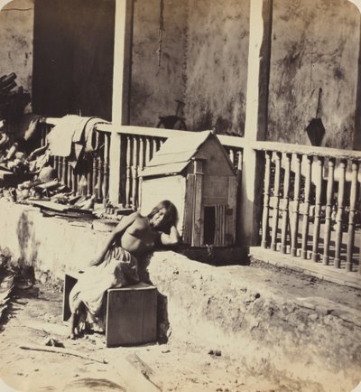 गारवेल मार्टीनिक कुत्ता, 1870 के दशक। द्वारा पॉल एमिल मिओटी