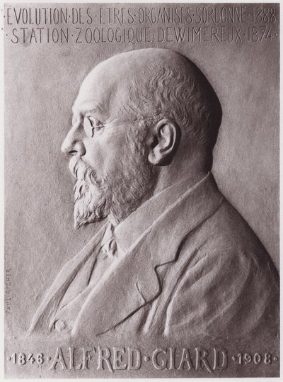 अल्फ्रेड जिआर्ड (1846-1908), प्राणी विज्ञानी, चित्र (लिथो) द्वारा पॉल मैरी लुई पियरे रिचर