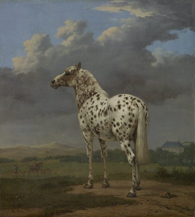 "पीबल्ड" हार्स, c.1650-4 (कैनवास पर तेल) द्वारा पॉल पॉटर