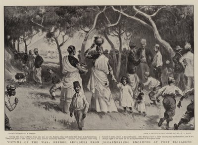 युद्ध के शिकार, जोहानिसबर्ग के हिंदो शरणार्थियों ने पोर्ट एलिजाबेथ में डेरा डाला द्वारा पर्सी एफएस स्पेंस