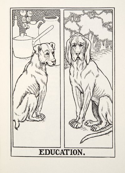 फॉनटेन फेबल्स, पब से शिक्षा। 1905 द्वारा Percy J. Billingshurst