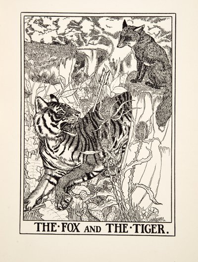 फॉक्स एंड द टाइगर, ए हंड्रेड फेबल्स ऑफ ईसप से, pub.1903 (उत्कीर्णन) द्वारा पर्सी जे बिलिंग्सहर्स्ट