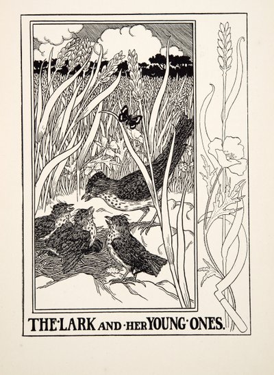 द लार्क एंड हिज़ यंग ओन्स, ए हंड्रेड फेबल्स ऑफ़ ईसप से, pub.1903 (उत्कीर्णन) द्वारा पर्सी जे बिलिंग्सहर्स्ट