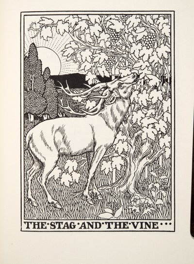 स्टैग और वाइन, फॉनटेन फेबल्स से, पब। 1905 द्वारा Percy J. Billingshurst