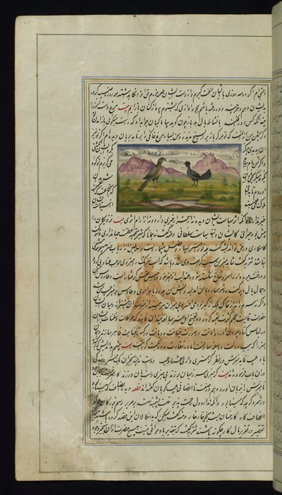 कैनवस की लाइट्स से एक बाज और एक मुर्गी द्वारा फारसी स्कूल