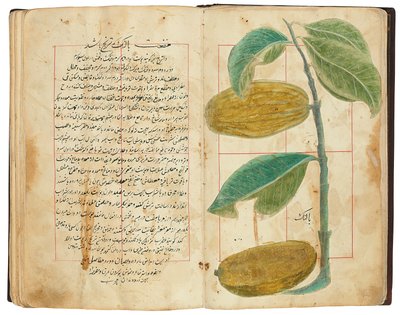 हसन बिन बकीर बिन जर्राह: गुलज़ार अल-रायहिन, क़ज़र ईरान द्वारा फारसी स्कूल