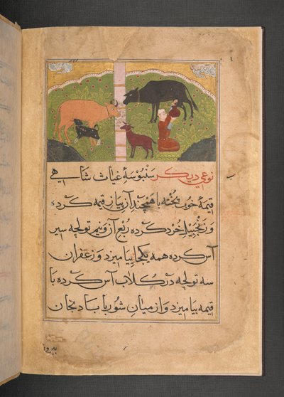  द्वारा फारसी स्कूल