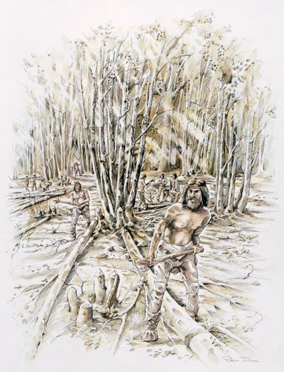 फ्लिंट के उपयोग- कोपिंग, प्रागैतिहासिक, c1990-2010 द्वारा पीटर डुन्नो