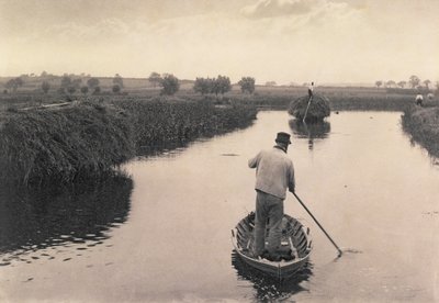नार्फोक ब्रोअड्स पर मार्श हेय, लाइफ एंड लैंडस्केप की क्वार्टरिंग द्वारा पीटर इमर्सन और थॉमस गुडॉल