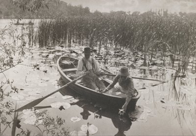 जलकुंभी इकट्ठा करना द्वारा Peter Henry Emerson