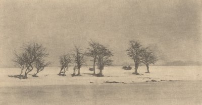 गर्नल्ड-कांटों के पेड़, सी। 1890, मुद्रित सी. 1895. द्वारा पीटर हेनरी इमर्सन