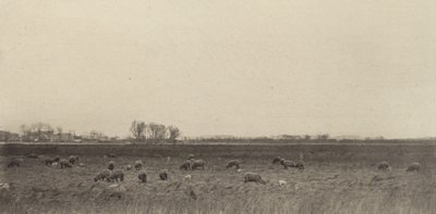 मार्श बाय द नॉर्थ सी, 1890-1891, 1893 मुद्रित। द्वारा पीटर हेनरी इमर्सन