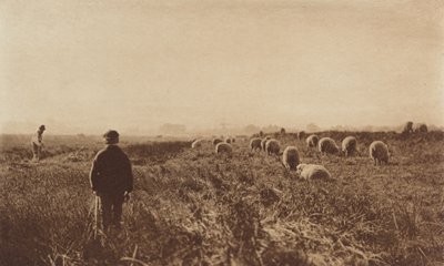 जून, 1890-1891 में द मार्श, 1893 में छपा। द्वारा पीटर हेनरी इमर्सन