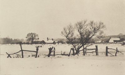 द स्नोई मार्शलैंड्स, 1890-1891, 1893 मुद्रित। द्वारा पीटर हेनरी इमर्सन