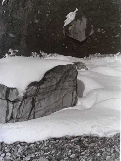 विन्टेज बी एंड डब्ल्यू फोटो नंबर 3, 1985 द्वारा पीटर मैकक्लेर
