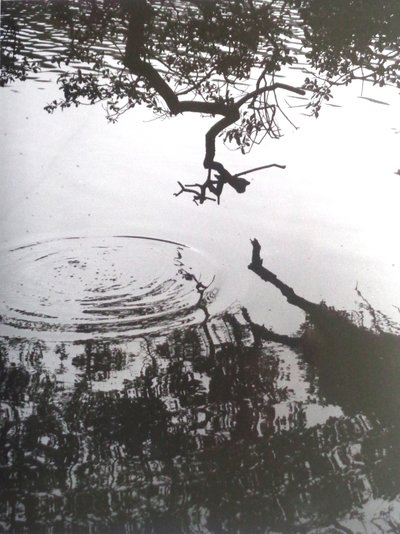 VINTAGE B & W PHOTO No.5, 1986 (PHOTOGRAPH) द्वारा पीटर मैकक्लेर