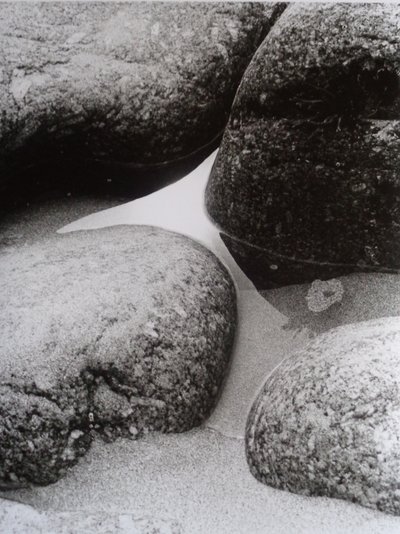 VINTAGE B & W फ़ोटो नंबर 9, 1987 (PHOTOGRAPH) द्वारा पीटर मैकक्लेर