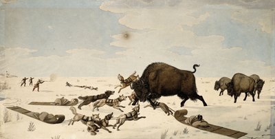 बफ़ेलो हंट, c.1822-1824 द्वारा पीटर रिंडिसबैकर