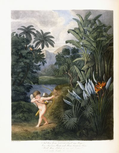 और फिर दिव्य लिनिअस, c.1796-1807 द्वारा फिलिप रीनगले