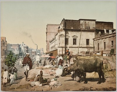 भारत. कलकत्ता. हैरिसन रोड I पर जोगियों का एक समूह, डॉ. कर्ट बोएक द्वारा ली गई तस्वीर द्वारा फोटोग्लोब कंपनी (ज्यूरिख, सक्रिय सी। 1890 1910)