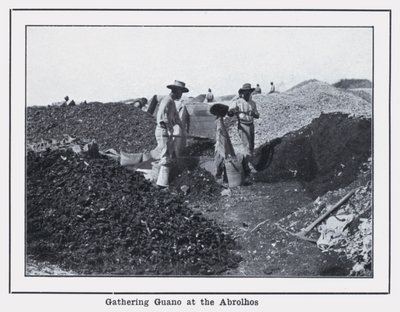 Abrolhos में गुआनो को इकट्ठा करना (b/w फोटो) द्वारा फोटोग्राफर ऑस्ट्रेलियाई
