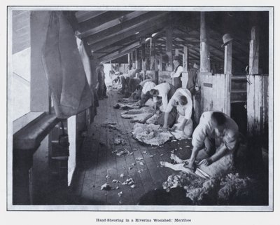 रिवरिना वूलशेड, मेर्रीबी में हाथ से बाल काटना (बी/डब्ल्यू फोटो) द्वारा फोटोग्राफर ऑस्ट्रेलियाई