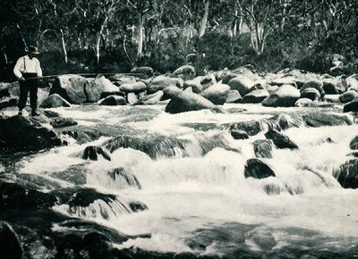ट्राउट रैपिड्स इन स्नोई रिवर, जिंदाबाइन, न्यू साउथ वेल्स, c.1900, 'अंडर द सदर्न क्रॉस - ग्लिम्प्सेस ऑफ ऑस्ट्रेलिया' से, विदेश विभाग, मेलबर्न द्वारा प्रकाशित द्वारा फोटोग्राफर ऑस्ट्रेलियाई