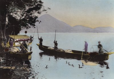 जापान, c.1912: जलकाग के साथ मछली पकड़ना, नागरागावा (फोटो) द्वारा फोटोग्राफर जापानी
