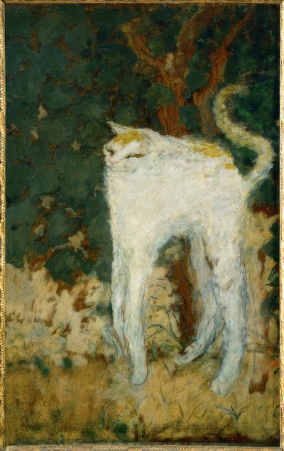 सफेद बिल्ली द्वारा Pierre Bonnard