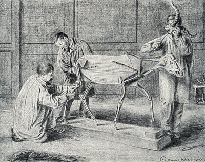  द्वारा पियरे कैलमेट्स