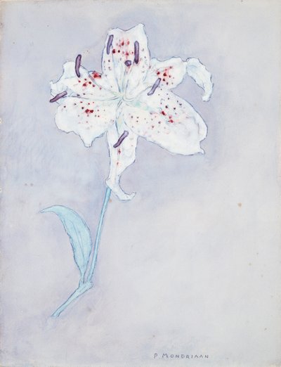 लिली, c.1920-25 (कागज पर पानी के रंग) द्वारा पीट मोंड्रियन
