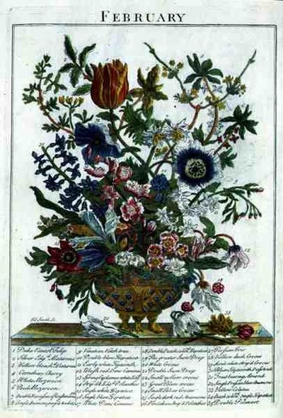 फरवरी, रॉबर्ट फ्यूबर द्वारा प्रदर्शित 'द फ्लावर गार्डन' से (c.1674-1756), जेम्स स्मिथ द्वारा उकेरा गया, पब। 1732 (रंगीन उत्कीर्णन) द्वारा पीटर (बाद में) कैस्टेल्स