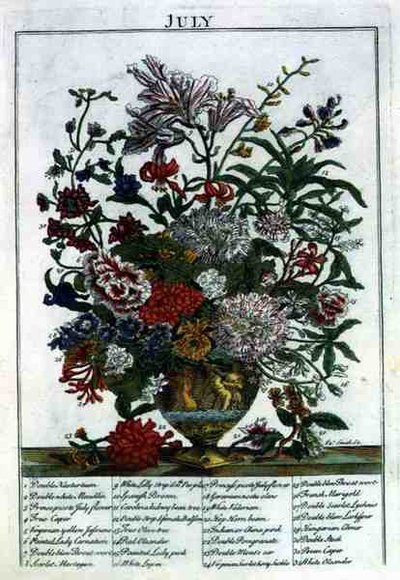जुलाई, रॉबर्ट फ्यूबर द्वारा प्रदर्शित 'द फ्लावर गार्डन' से (c.1674-1756), जेम्स स्मिथ द्वारा उकेरा गया, पब। 1732 (रंगीन उत्कीर्णन) द्वारा पीटर (बाद में) कैस्टेल्स