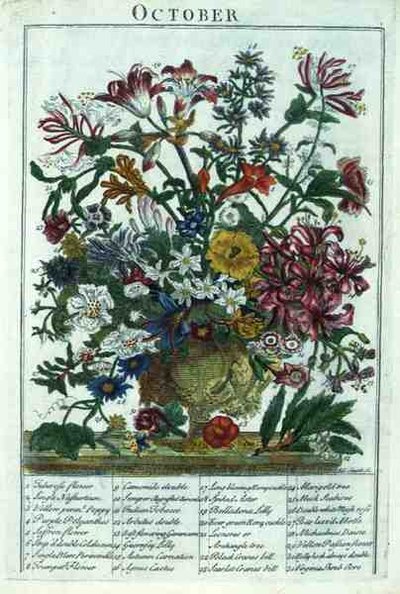 अक्टूबर, रॉबर्ट फ्यूबर द्वारा प्रदर्शित 'द फ्लावर गार्डन' से (c.1674-1756), जेम्स स्मिथ द्वारा उकेरा गया, पब। 1732 (रंगीन उत्कीर्णन) द्वारा पीटर (बाद में) कैस्टेल्स