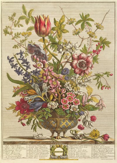 फरवरी, `रॉबर्ट्स के बारह महीने &39;से रॉबर्ट फ़र्बर (c.1674-1756) हेनरी फ्लेचर (रंग उत्कीर्णन) द्वारा उत्कीर्ण द्वारा Pieter Casteels