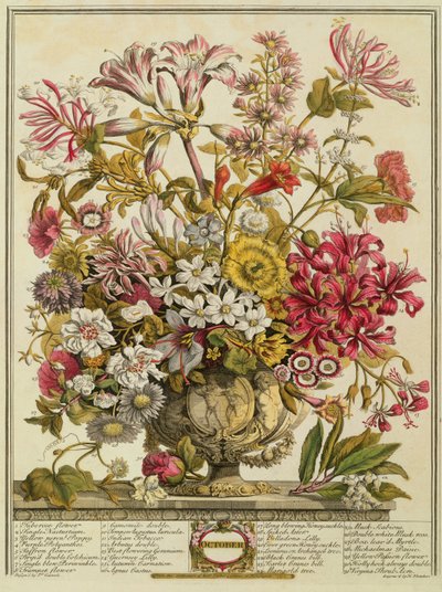 अक्टूबर, रॉबर्ट फर्बर द्वारा &39;फूलों के बारह महीने&39; (c.1674-1756) पर हेनरी फ्लेचर (रंग उत्कीर्णन) द्वारा पीटर कास्टेल्स