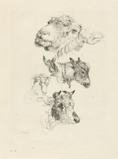 भेड़, घोड़ा, गधा, मेढ़ा और बैल के सिर के साथ अध्ययन पत्रक द्वारा Pieter Gerardus van Os