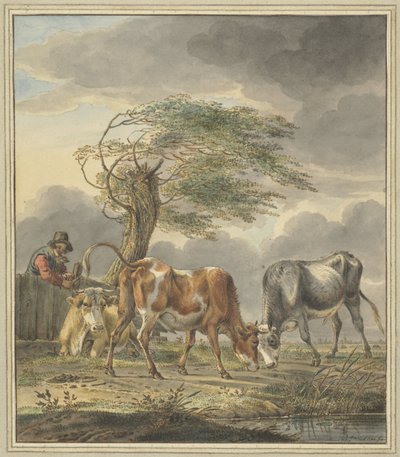  द्वारा पीटर जानसन