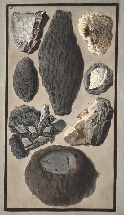 सर विलियम हैमिल्टन (1730-1803) द्वारा &39;कैंपी फलेग्रेई: ऑब्जर्वेशन ऑन द टू सीसिलीज़&39; से ज्वालामुखीय मामलों के नमूने, 1776 (हाथ के रंग की नक्काशी) द्वारा पिएत्रो फैब्रिस