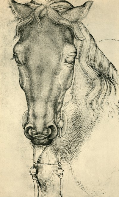 घोड़े का सिर, c1420-1455, 1943। द्वारा एंटोनियो पिसानेलो